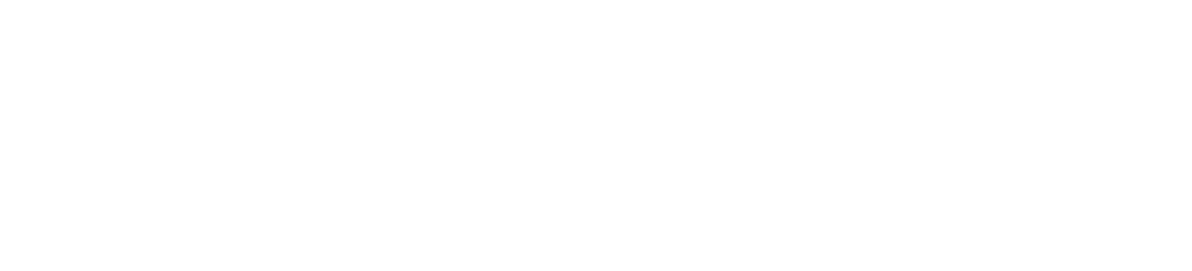 logo of this website
